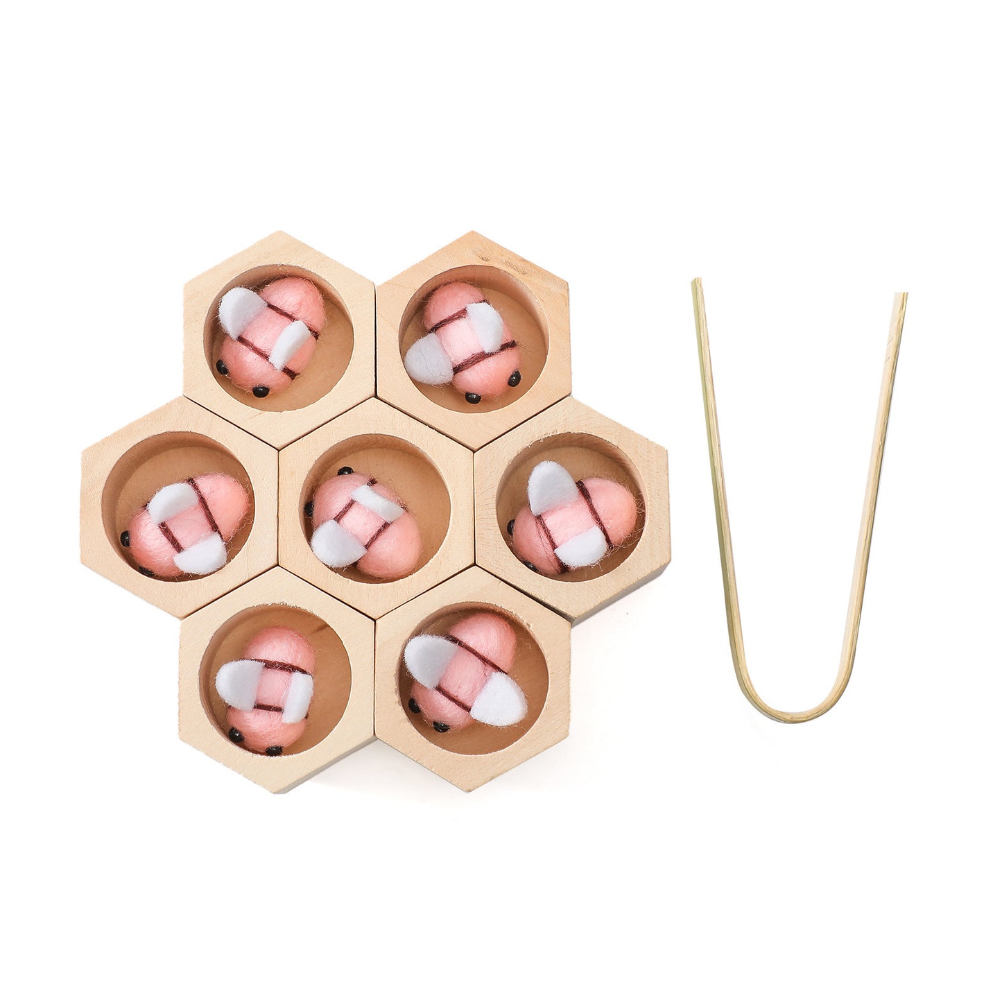 LIFE CYCLE TOY