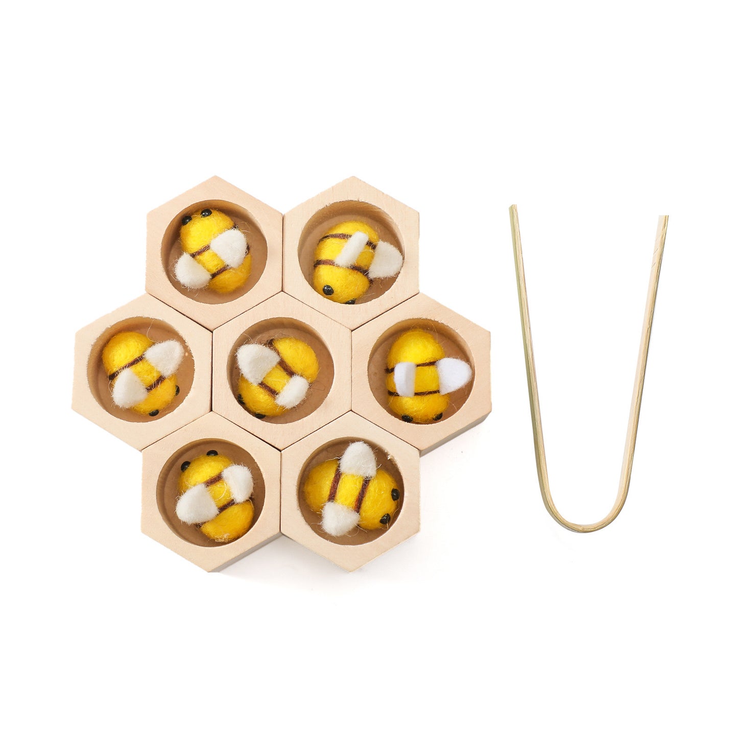 LIFE CYCLE TOY