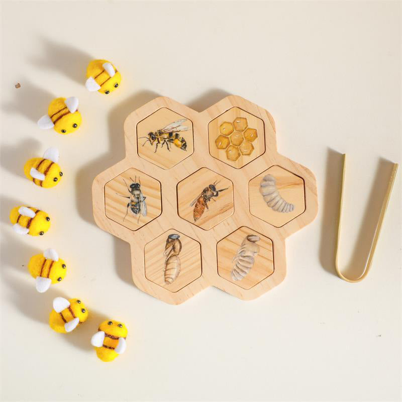 LIFE CYCLE TOY