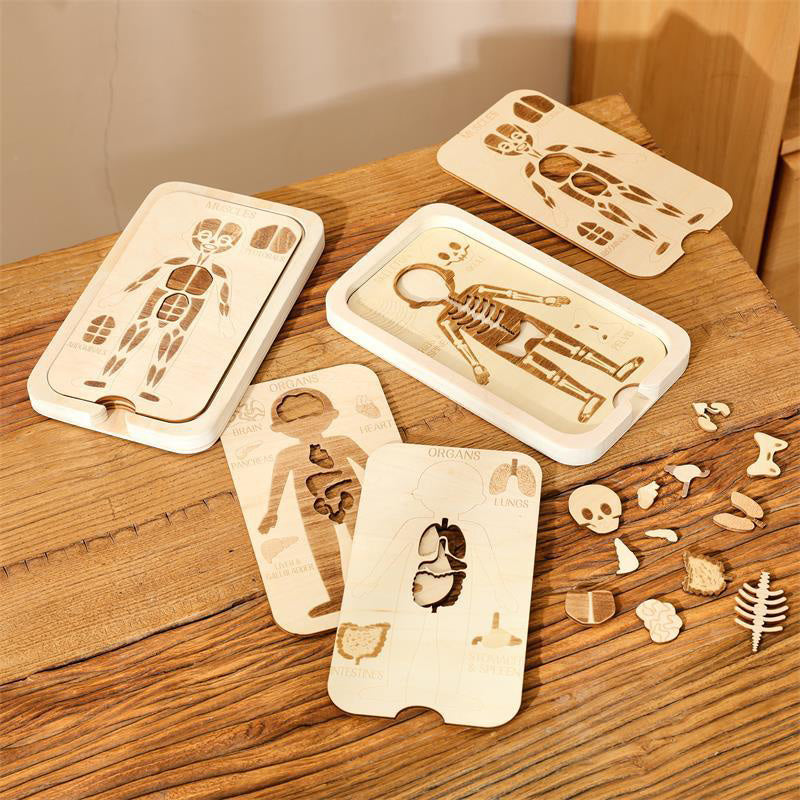 WOODEN PUZZLE (BODY STRUCTURE)