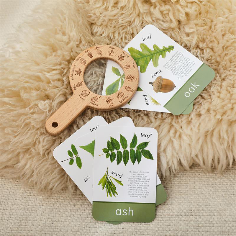 MAGNIFIER TOY