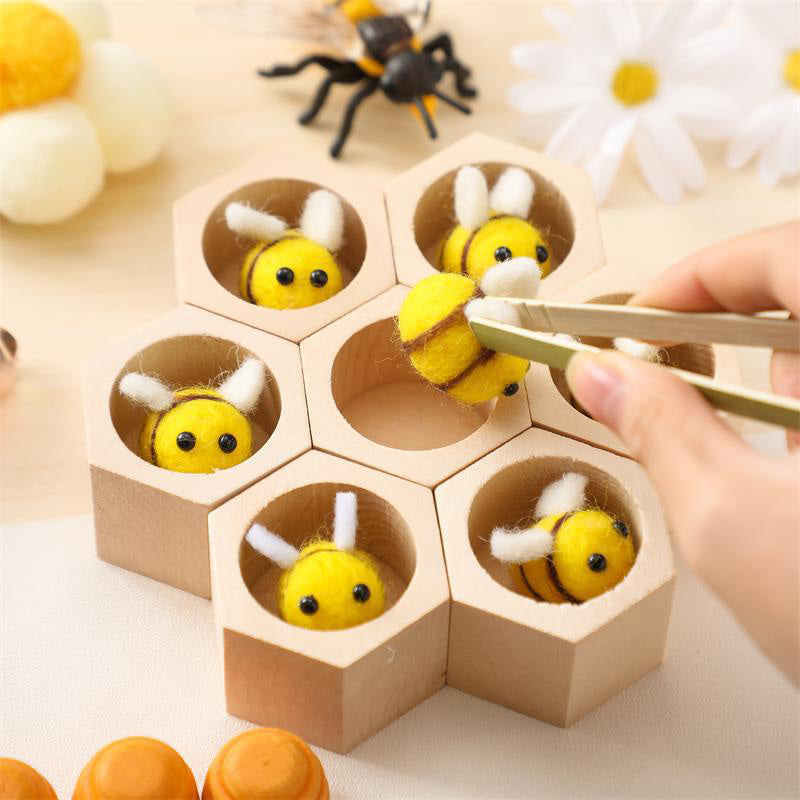 LIFE CYCLE TOY
