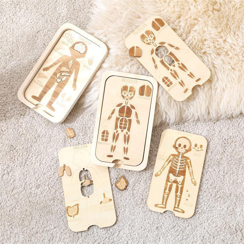 WOODEN PUZZLE (BODY STRUCTURE)