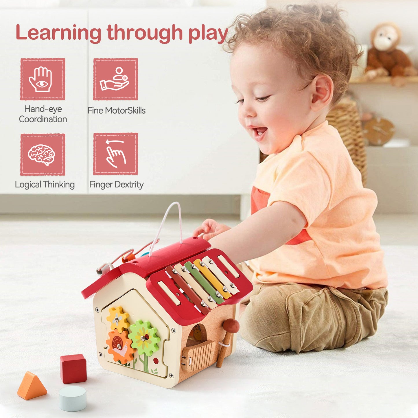HOUSE TOY