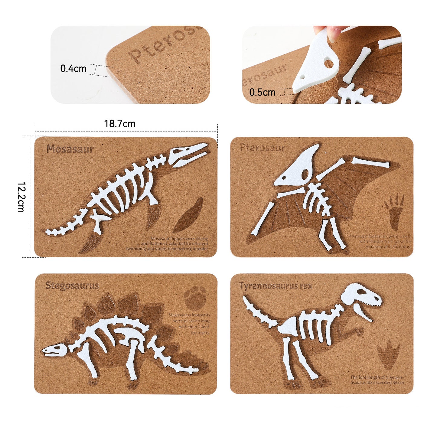 ROMPECABEZAS DE MADERA (FÓSILES DE DINOSAURIOS)