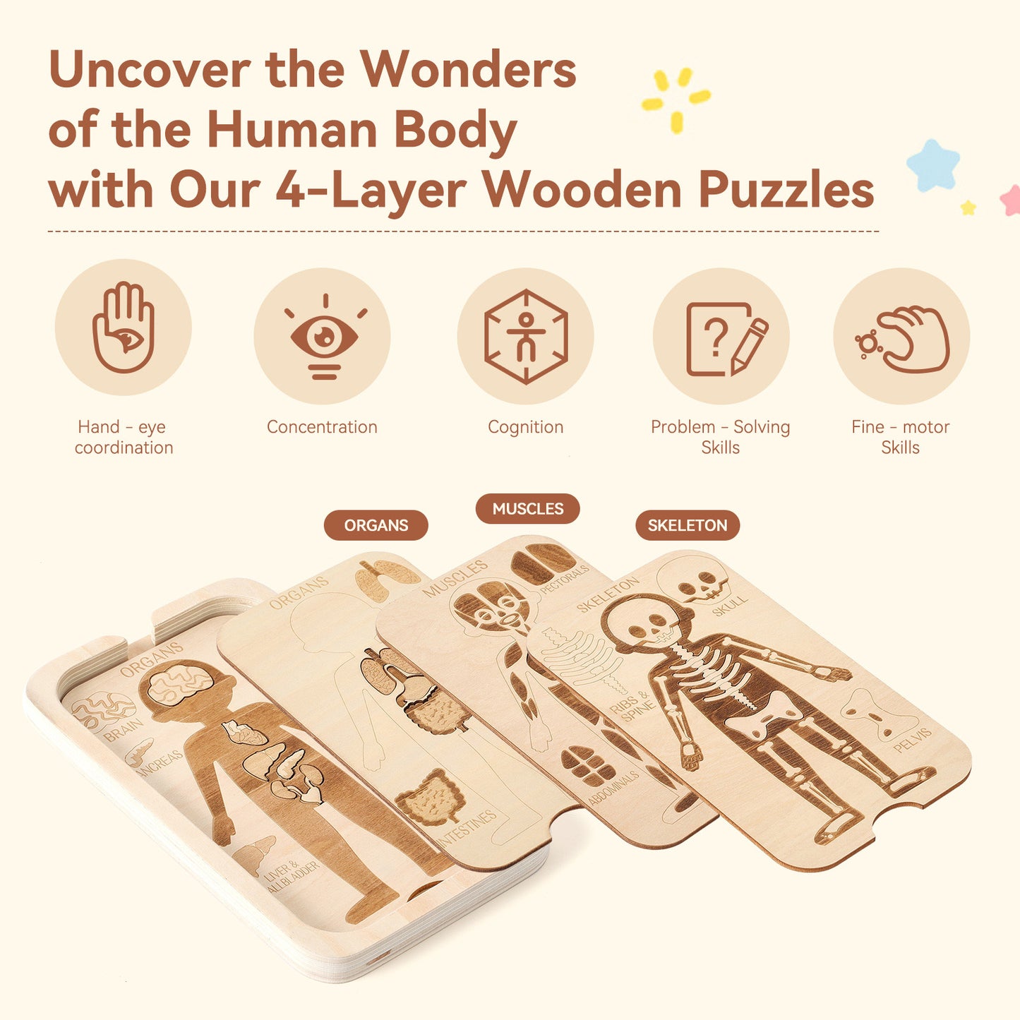 WOODEN PUZZLE (BODY STRUCTURE)