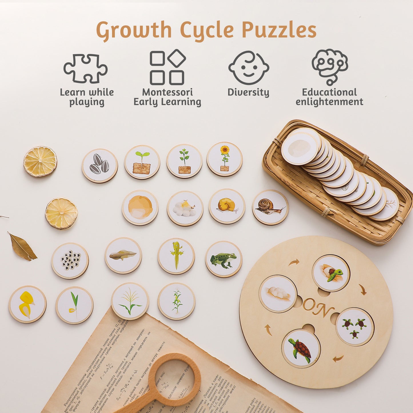 LIFE CYCLE BOARD