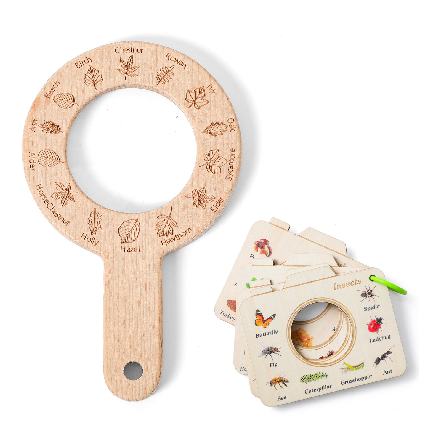 MAGNIFIER TOY