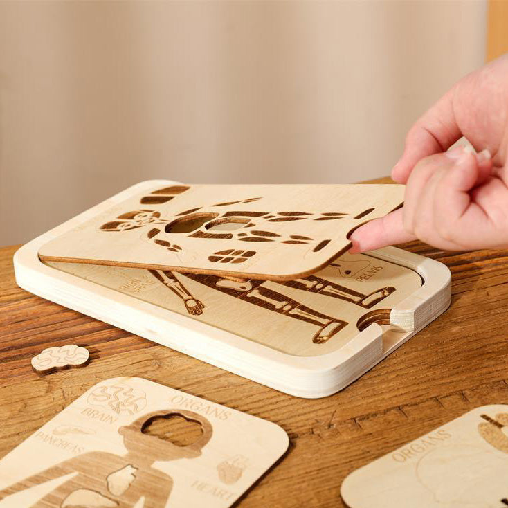 WOODEN PUZZLE (BODY STRUCTURE)