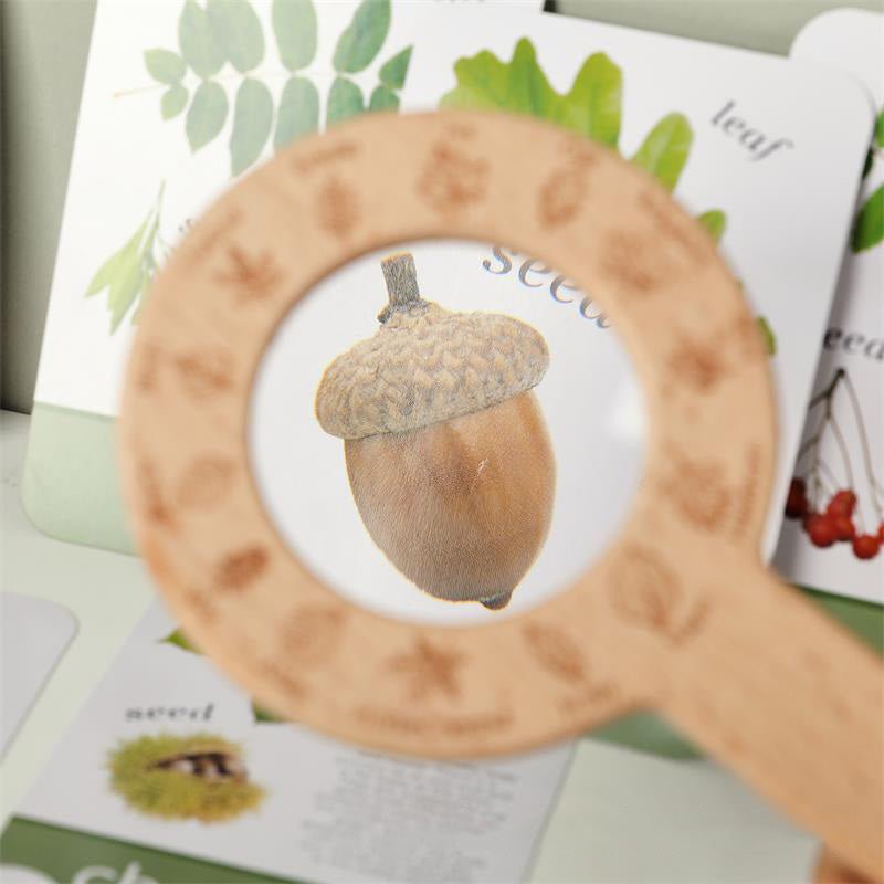 MAGNIFIER TOY