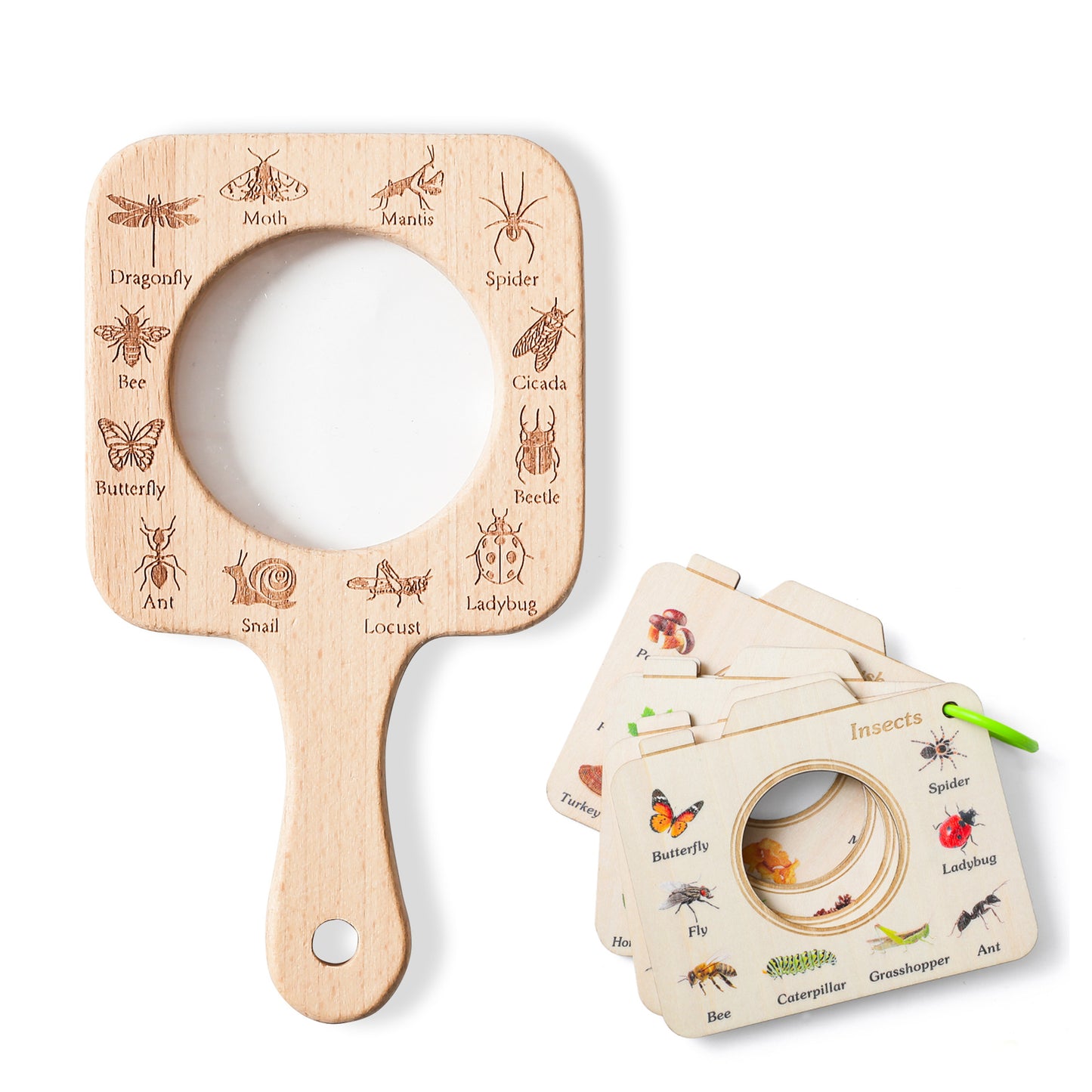 MAGNIFIER TOY