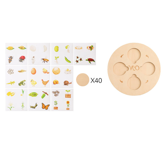 LIFE CYCLE BOARD