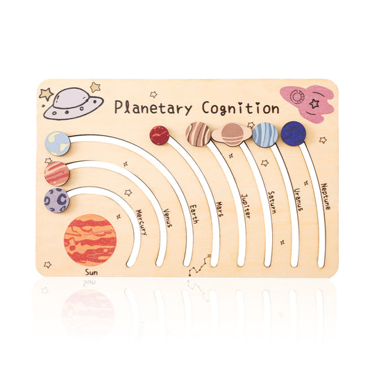 PLANETARY COGNITION