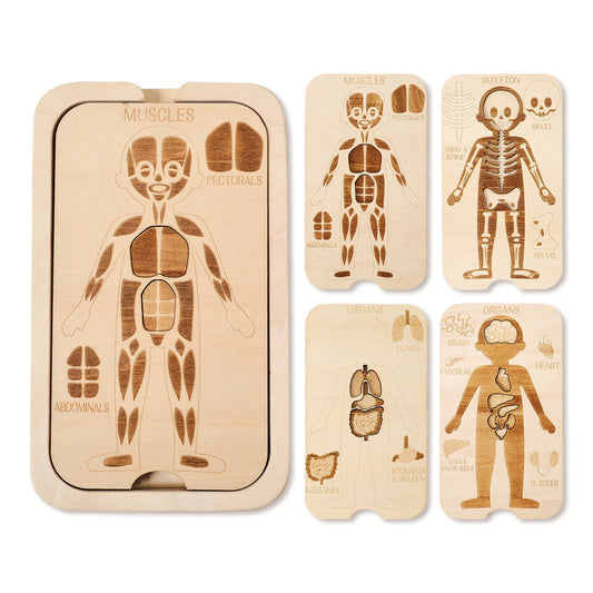 WOODEN PUZZLE (BODY STRUCTURE)