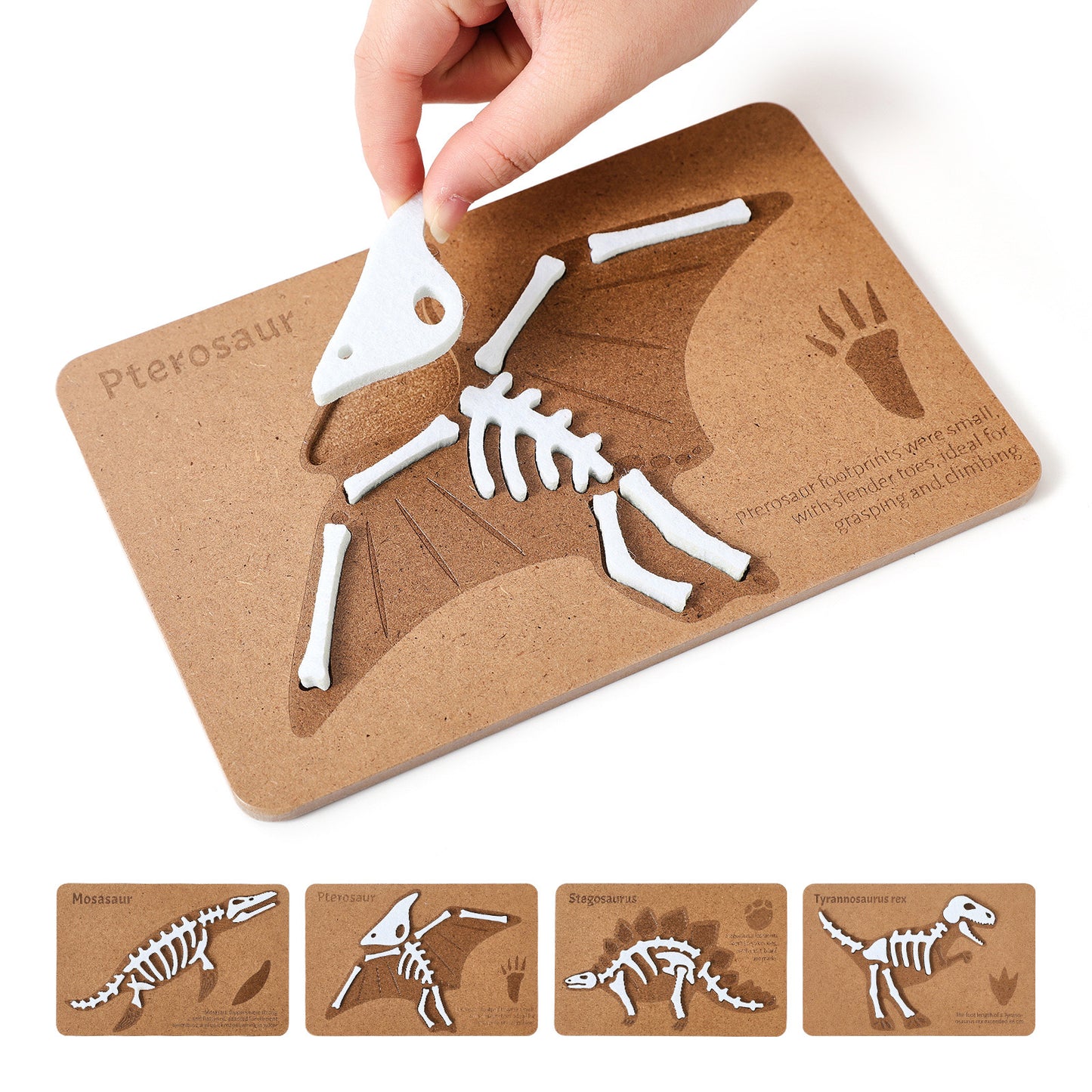 ROMPECABEZAS DE MADERA (FÓSILES DE DINOSAURIOS)