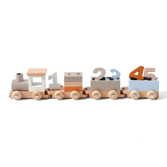TRAIN TOY