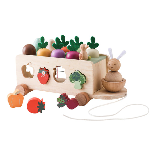 MATCHING BLOCK (CARROT)