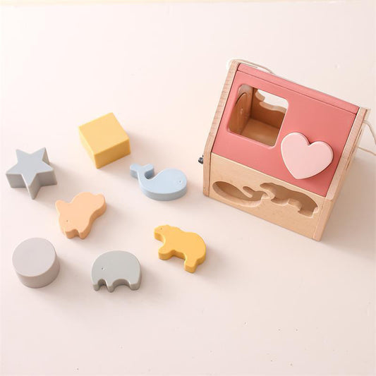 MATCHING BLOCK (HOUSE)