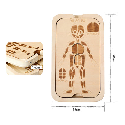 WOODEN PUZZLE (BODY STRUCTURE)