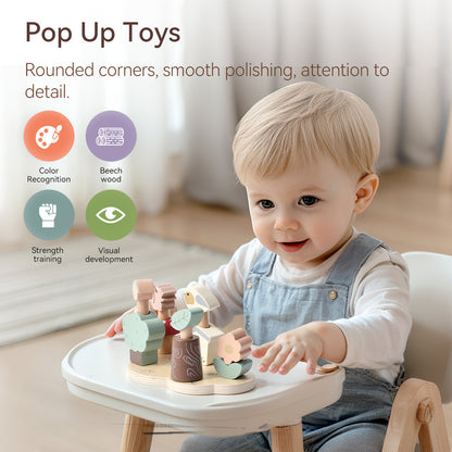 POP-UP TOY