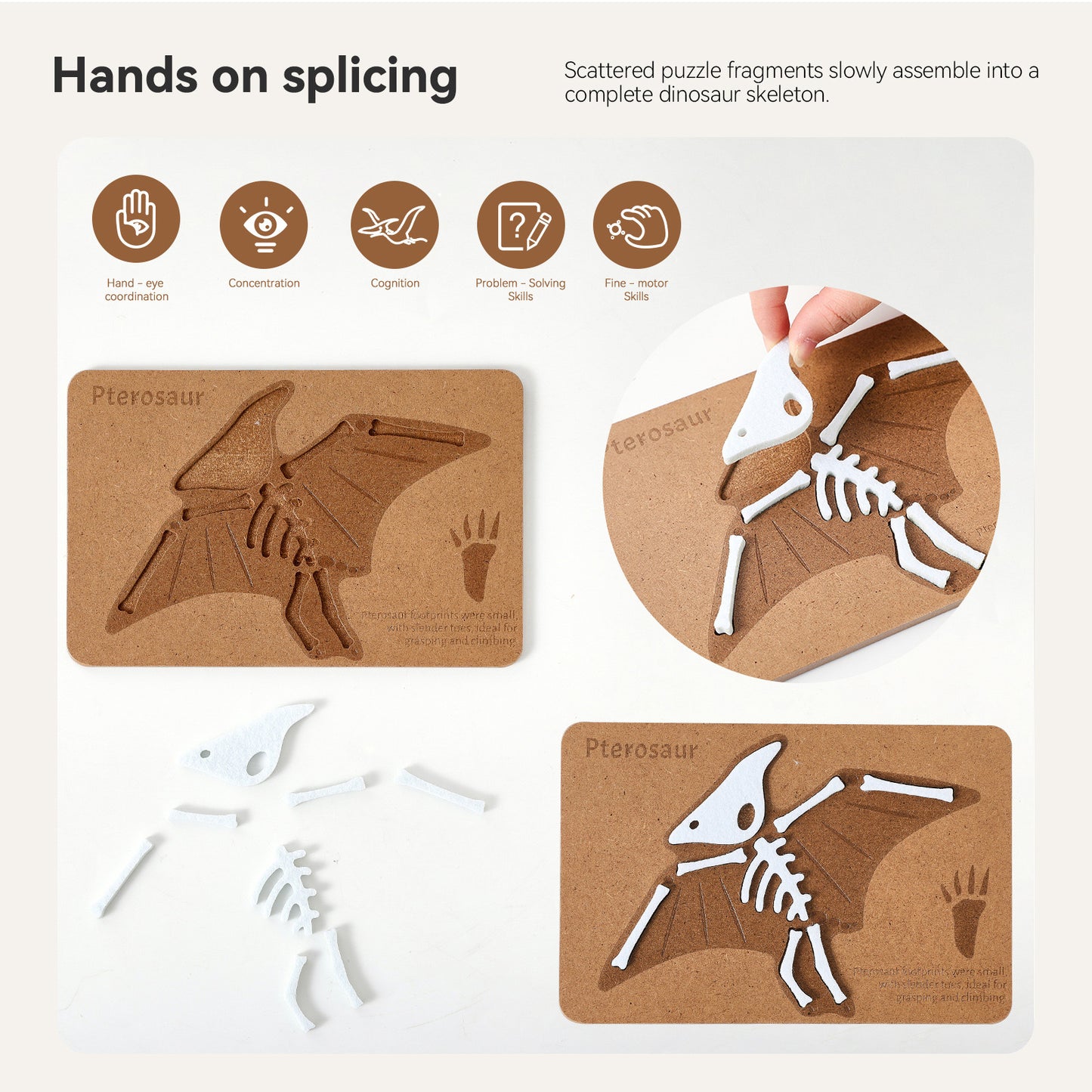 ROMPECABEZAS DE MADERA (FÓSILES DE DINOSAURIOS)