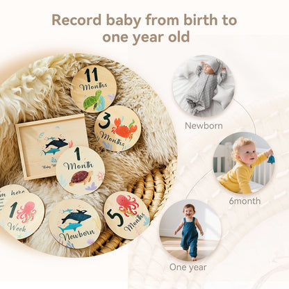 MILESTONE CARDS (OCEAN)