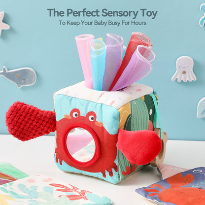 SENSORY CUBE (CRAB)