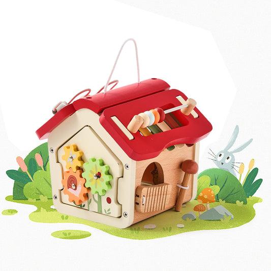 HOUSE TOY