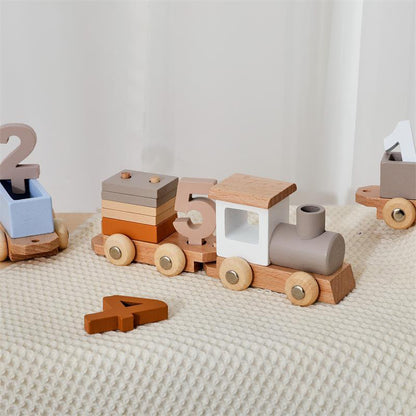TRAIN TOY