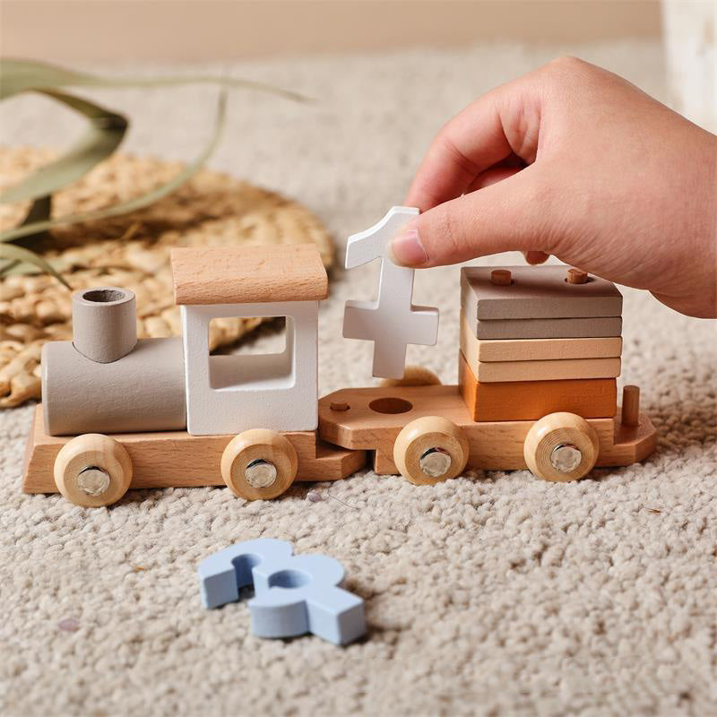 TRAIN TOY