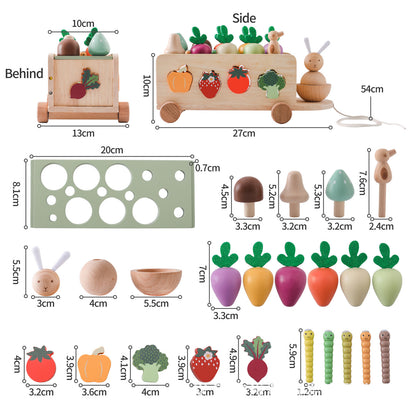 MATCHING BLOCK (CARROT)