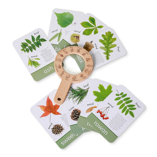MAGNIFIER TOY