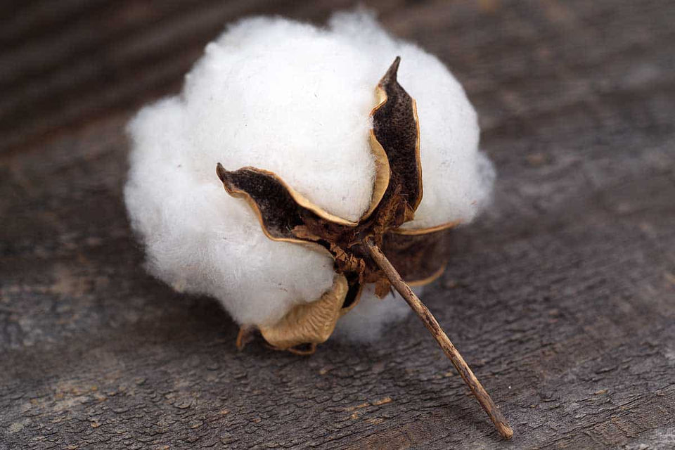premium 100% high quality cotton materials safe for kids