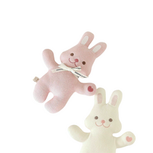 Load image into Gallery viewer, PLUSH RABBIT
